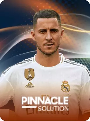 PINNACLE SOLUTION